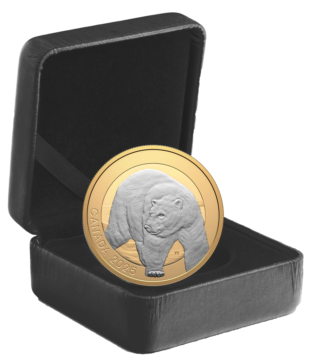 2025 $20 Animal Portraits: Polar Bear - Pure Silver Coin