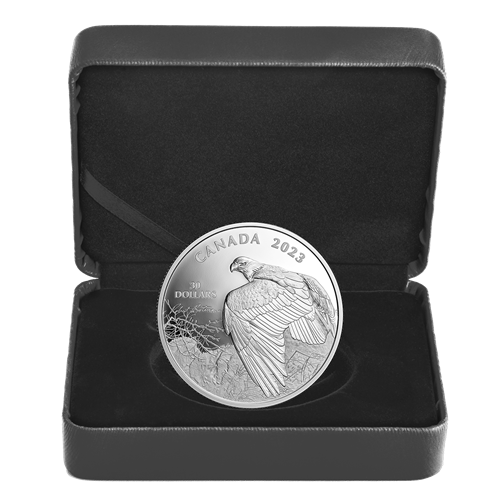 2 oz Fine Silver Coin - Vantage Point – Bald Eagle by Robert Bateman