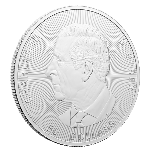 10 oz Silver Maple Leaf Coin - 2024 Magnificent Maple Leaf - Royal Canadian Mint - RCM .9999 Ag