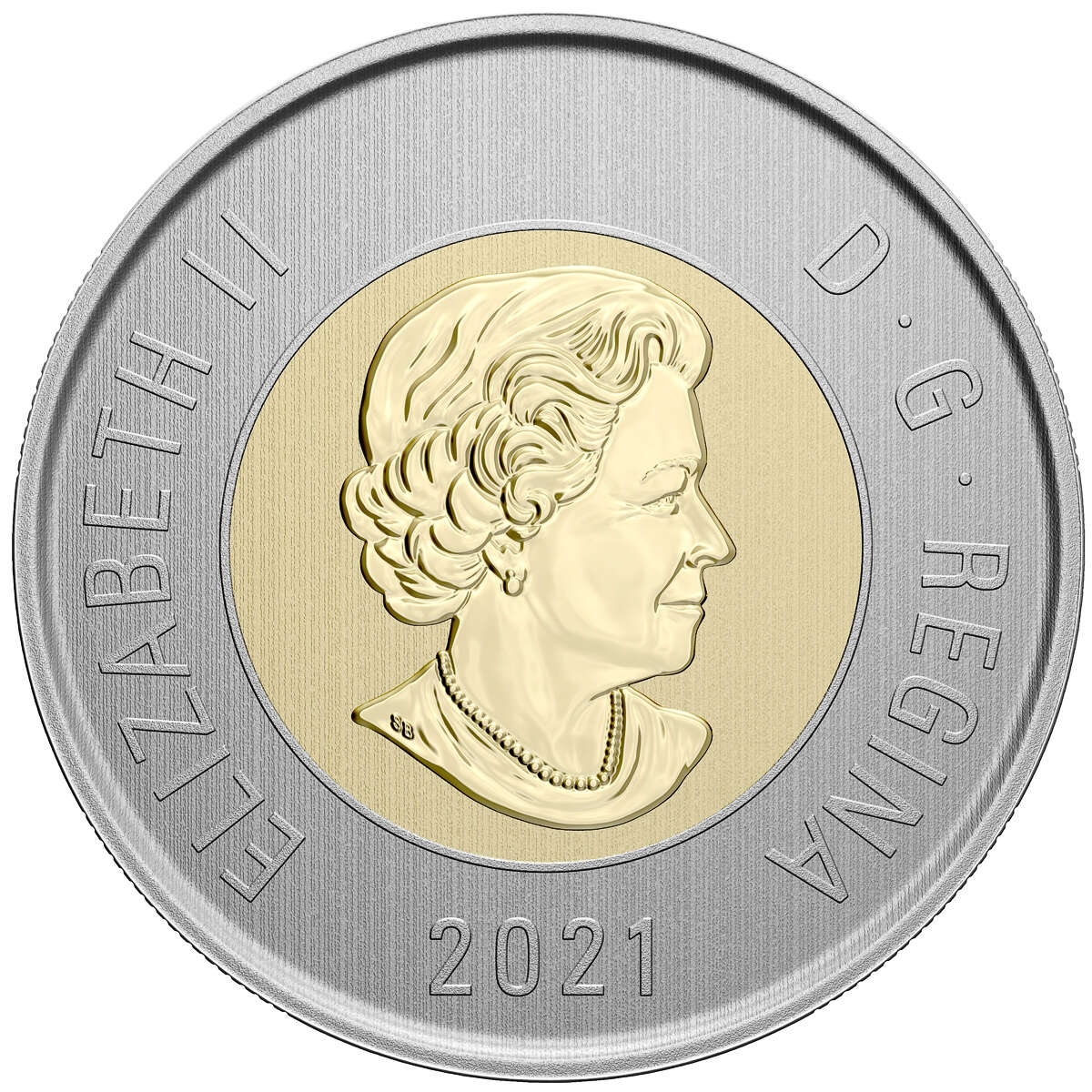 2021 Endangered Species: Blanding's Turtle - Specimen Set