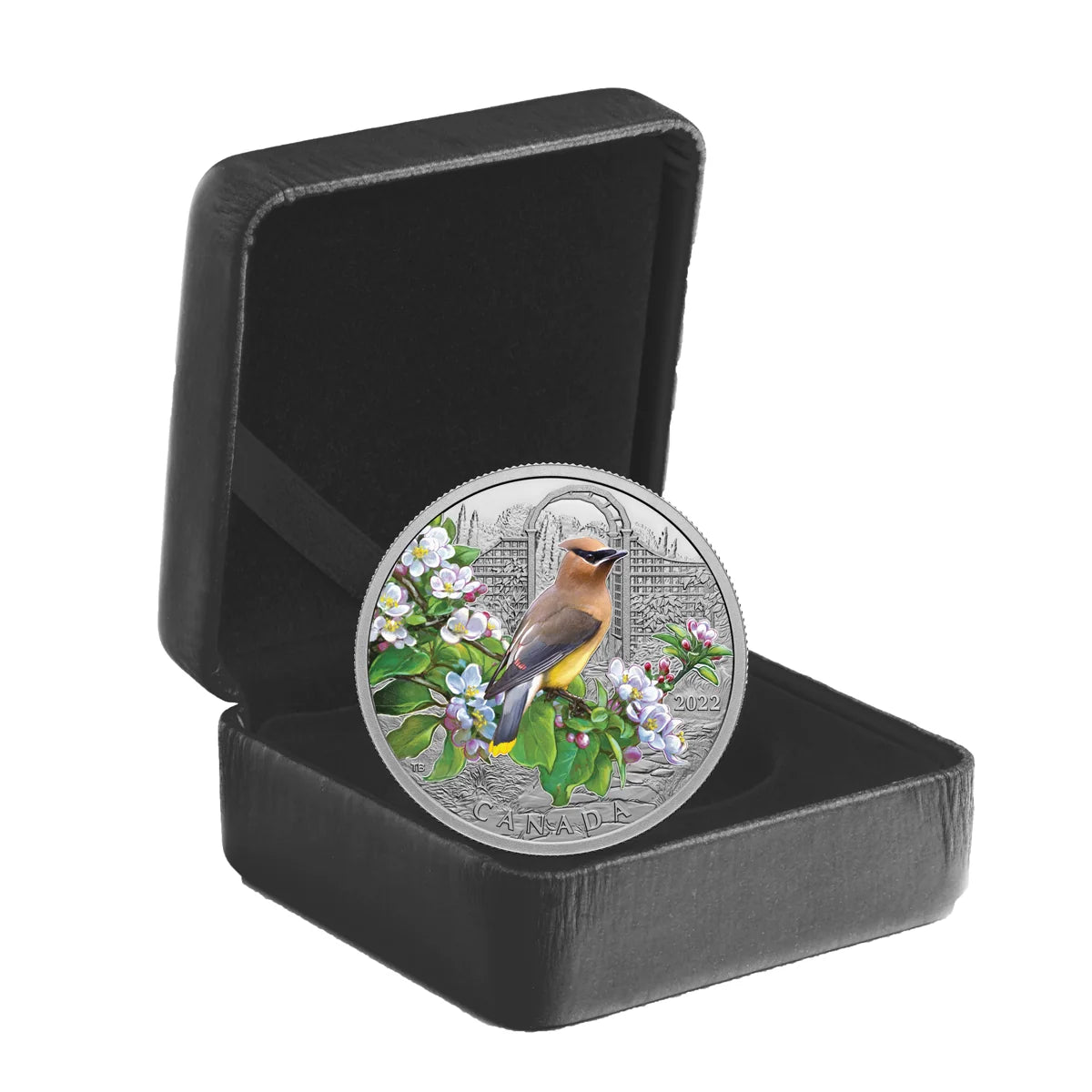 1 oz 2022 $20 Colourful Birds: Cedar Waxwing - Pure Silver Coin