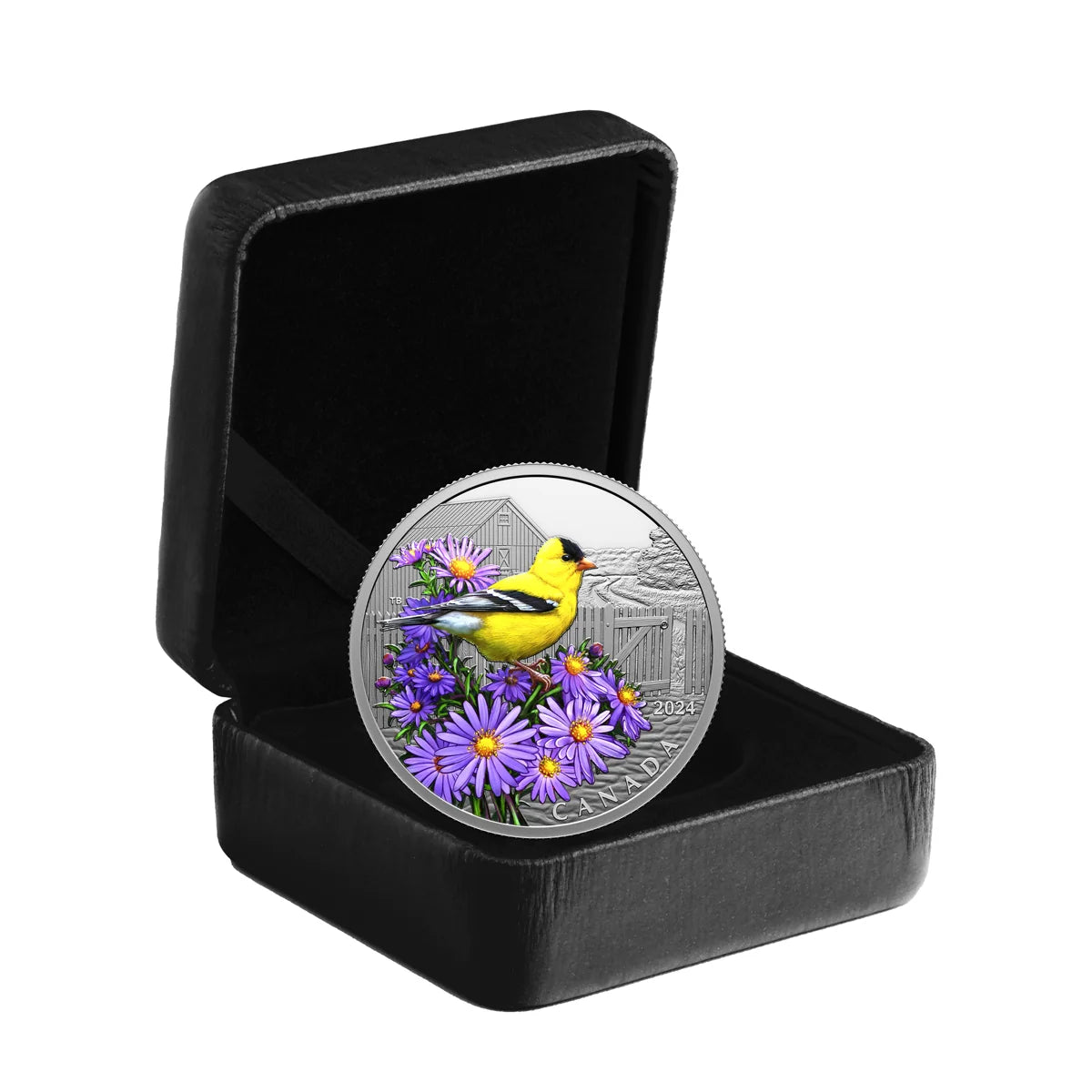 1 oz 2024 $20 Colourful Birds: American Goldfinch - Pure Silver Coin