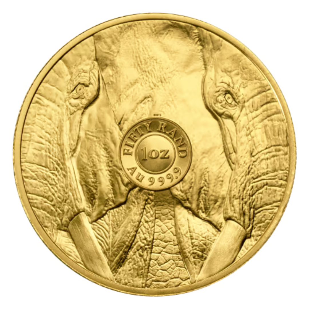 1 oz Gold Coin - 2023 Big 5 Series: Elephant - South African Mint - .9999 Au