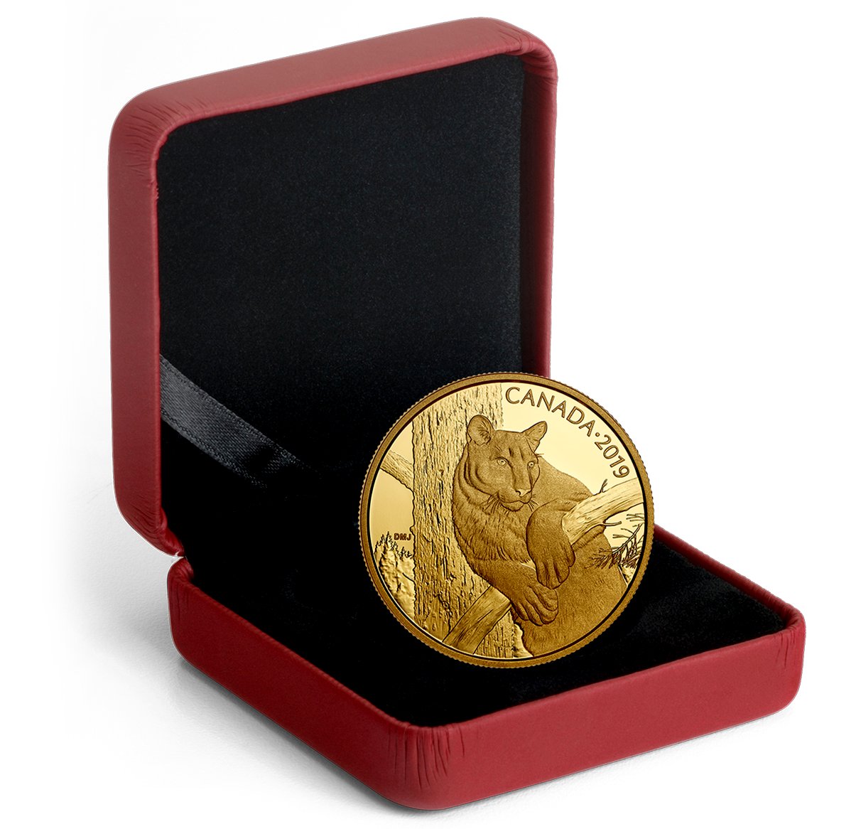1.125 oz Pure Gold Coin - Canadian Wildlife Portraits: The Cougar - Mintage: 400 (2019)