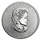 Buy 1 Oz Silver Coin Royal Canadian Mint Backdate Maple Leaf Silver Buy 1 Oz Maple Silver RCM Obverse