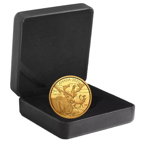 1.125 oz Pure Gold Coin - Canadian Wildlife Portraits: The Caribou - .99999 Au