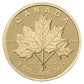 1/10 ounce Fine Gold Maple Leaf Coin - Mintage: 25,000 (2012)