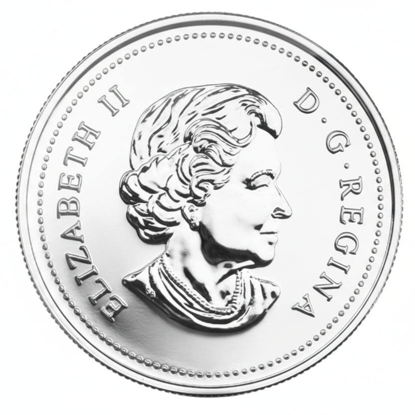 3/4 oz Brilliant Fine Silver Dollar - 100th Anniversary of the Canadian Arctic Expedition (2013)