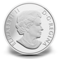 1 oz $100 for $100 Fine Silver Coin - Bison (2013)