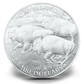 1 oz $100 for $100 Fine Silver Coin - Bison (2013)