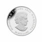 1 oz Fine Silver Coin - Stained Glass: Casa Loma (2014)