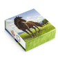 Canadian Horse - $100 for $100 Fine Silver Coin (2015)