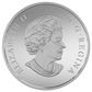 2 oz $200 for $200 Fine Silver Coin – Canada's Rugged Mountains (2015)