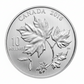 1/2 oz Canadian Maple Leaves Fine Silver Coin (2016)