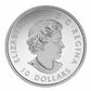 1/2 oz Pure Silver Coloured Coin - Iconic Canada: Autumn’s Palette (2017)
