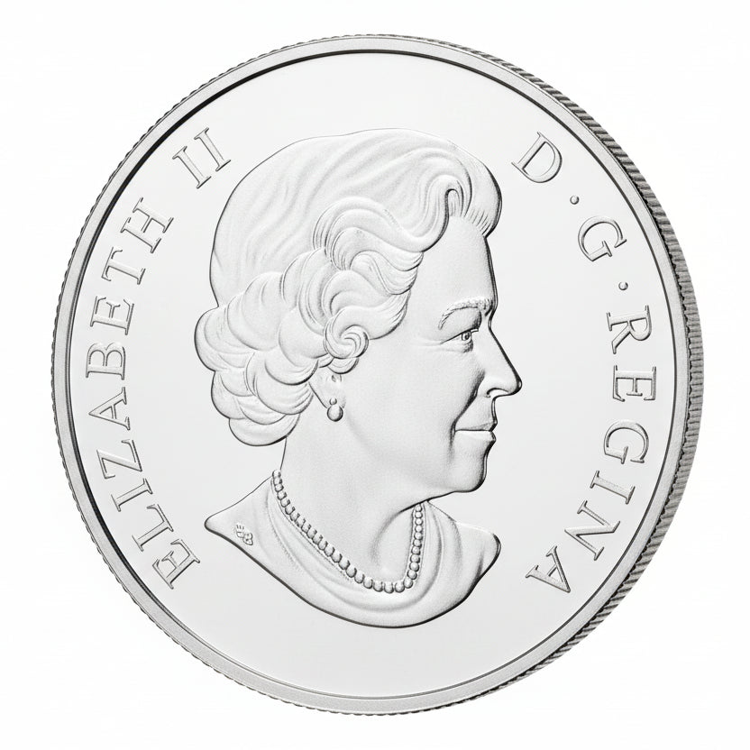 1/2 oz 2019 Pure Silver Coin - EQUALITY