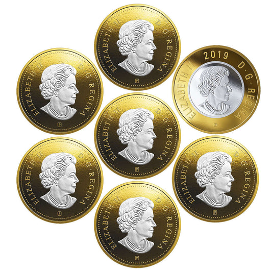 2019 Big Coin 5 Ounce Series - Pure Silver 7 Coin Set
