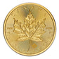 1 oz Gold Coin - 2024 Gold Maple Leaf - Royal Canadian Mint - RCM .9999 Au