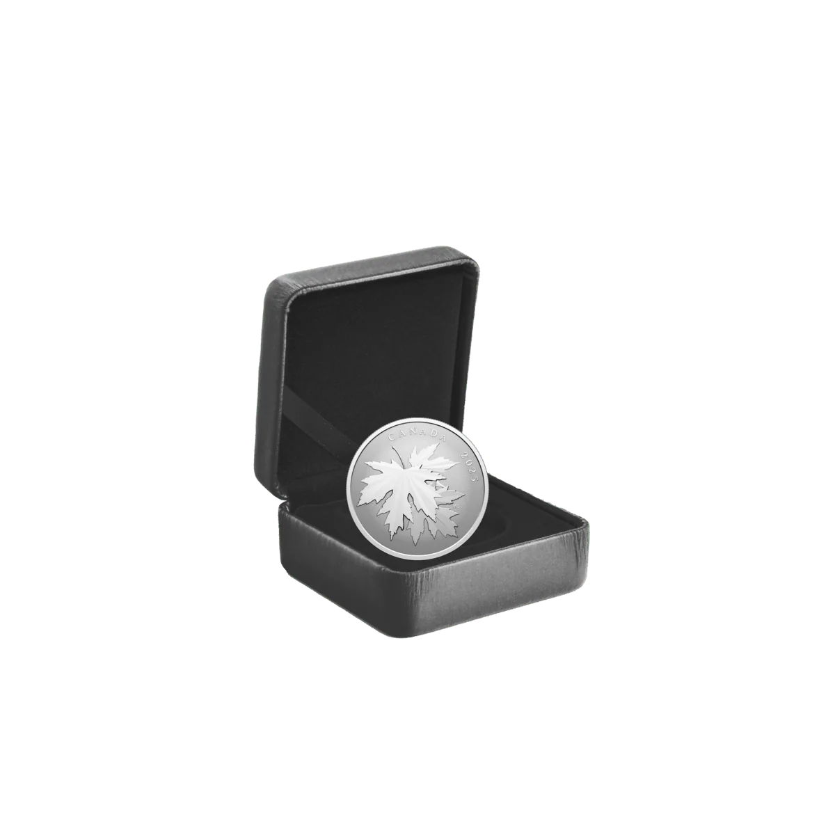 1/2 oz 2025 $10 Gleaming Maple Leaves - Pure Silver Coin