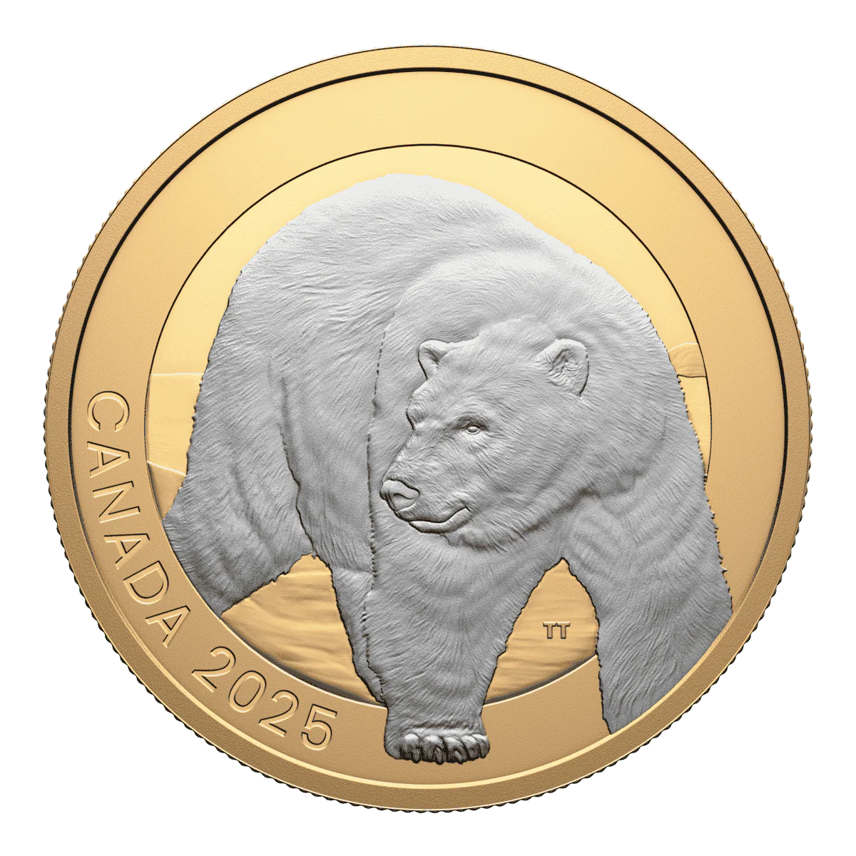 2025 $20 Animal Portraits: Polar Bear - Pure Silver Coin