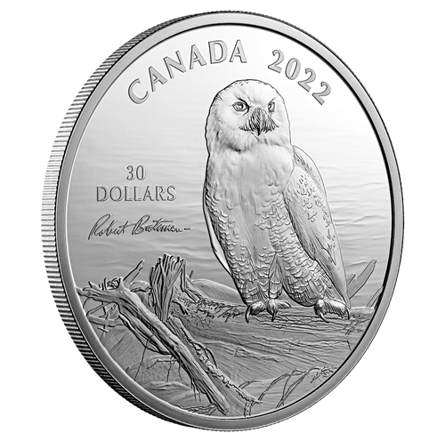 2 oz. Fine Silver Coin – Snowy Owl on Driftwood by Robert Bateman - Royal Canadian Mint .9999 Ag (Mintage: 4500)
