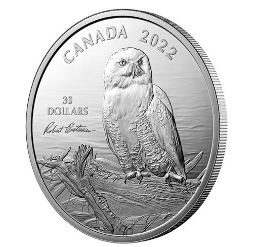 2 oz. Fine Silver Coin – Snowy Owl on Driftwood by Robert Bateman - Royal Canadian Mint .9999 Ag (Mintage: 4500)