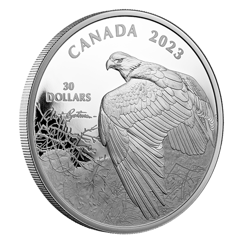 2 oz Fine Silver Coin - Vantage Point – Bald Eagle by Robert Bateman