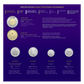 Collector’s Edition Non-Circulation Coin Set