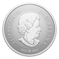 1/2 oz Welcome to the World! - Fine Silver Coin (2024)