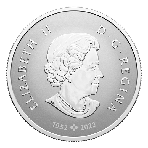 1/2 oz Welcome to the World! - Fine Silver Coin (2024)