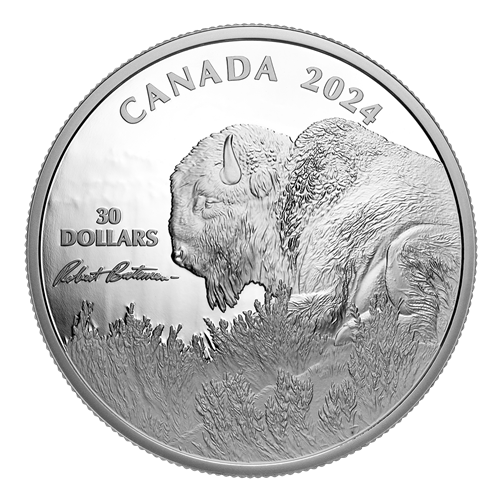 2 oz Weather Watch – Bison by Robert Bateman - Fine Silver Coin