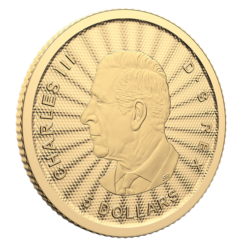 1/10 oz 2024 The Majestic Polar Bears Coin - Royal Canadian Mint .9999 Au