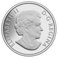 2013 $100 for $100 Bison Stampede - Pure Silver Coin