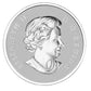1/2 oz 2015 $10 Maple Leaf - Pure Silver Coin