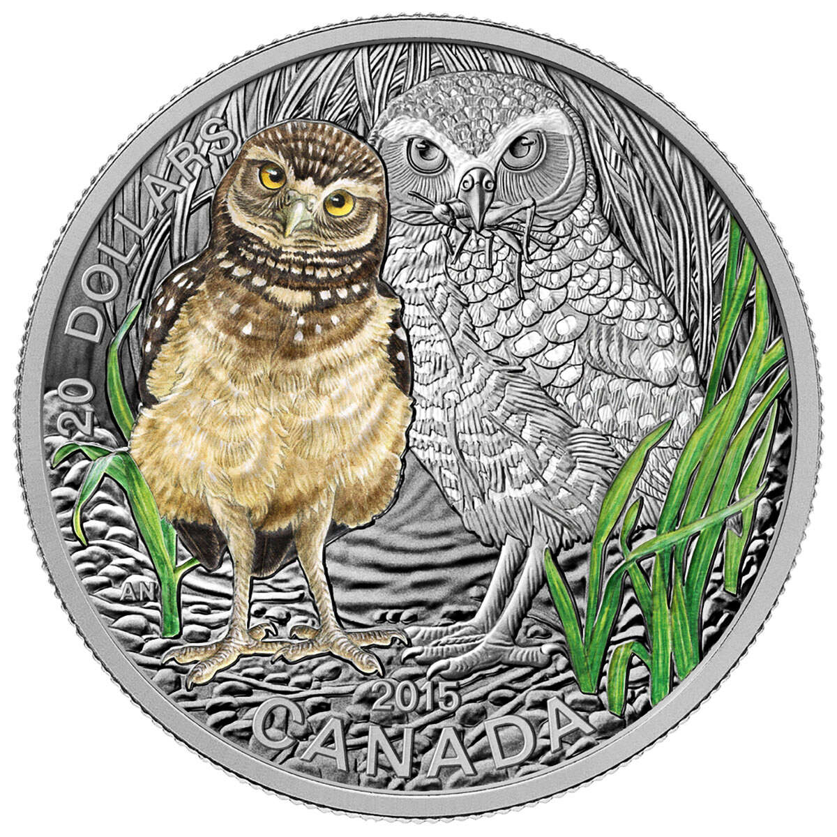 1 oz 2015 $20 Baby Animals: Burrowing Owl - Pure Silver Coin