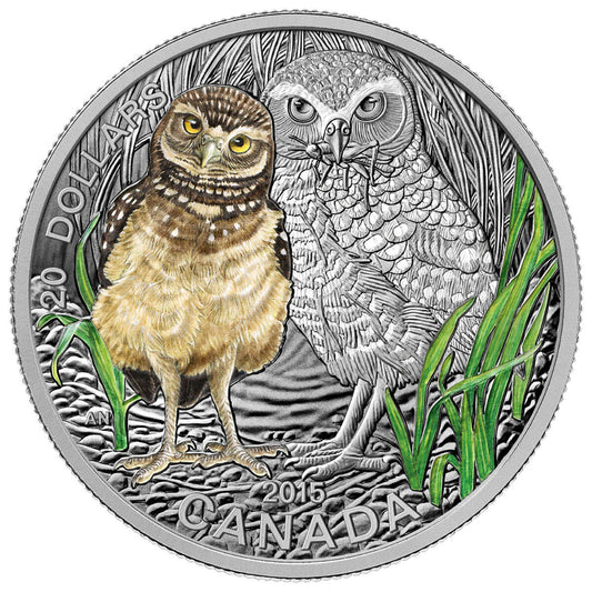 1 oz 2015 $20 Baby Animals: Burrowing Owl - Pure Silver Coin