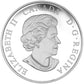 1/2 oz 2016 $10 Winter Fun - Pure Silver Coin