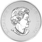 1/2 oz 2016 $10 Welcome to the World - Pure Silver Coin