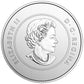 1/4 oz 2017 $5 Proudly Canadian - Pure Silver Glow-in-the-Dark Coin