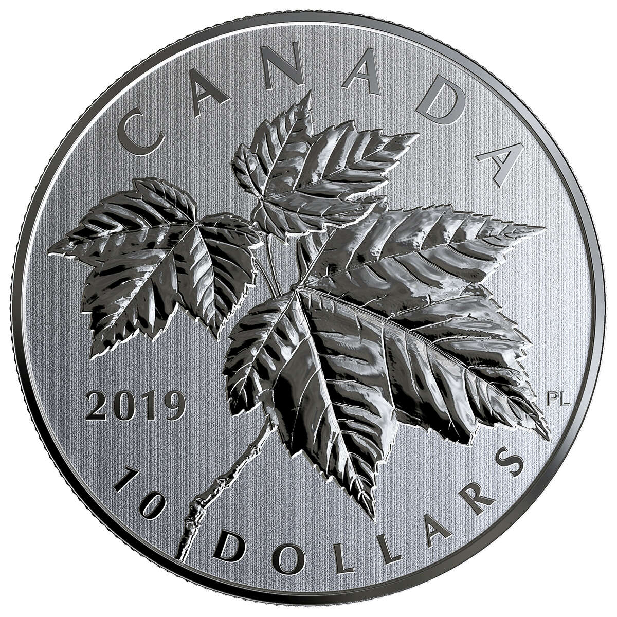 1/2 oz 2019 $10 Maple Leaves - Pure Silver Coin