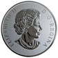 1/2 oz 2019 $10 Maple Leaves - Pure Silver Coin