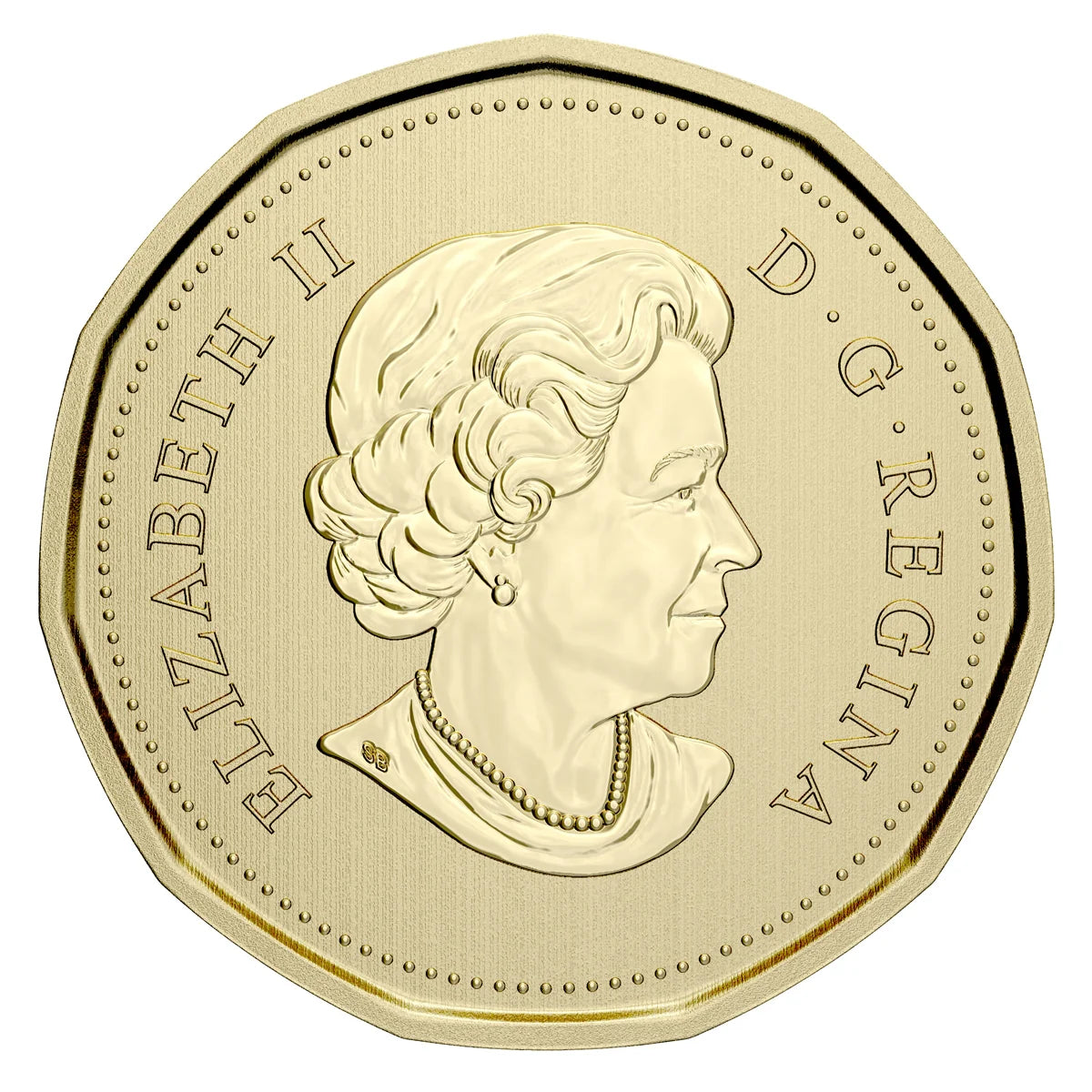 2021 Endangered Species: Blanding's Turtle - Specimen Set