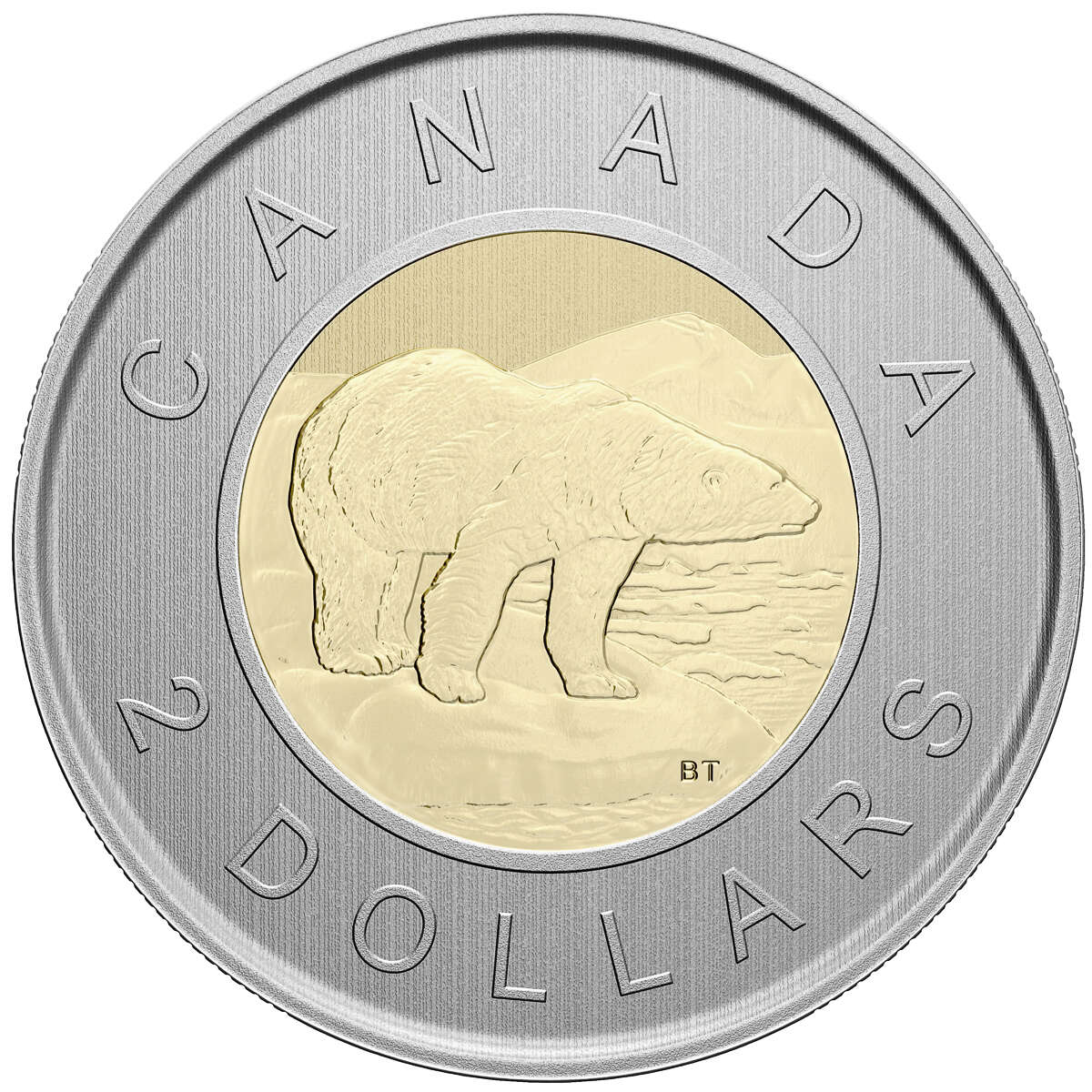 2021 Endangered Species: Blanding's Turtle - Specimen Set