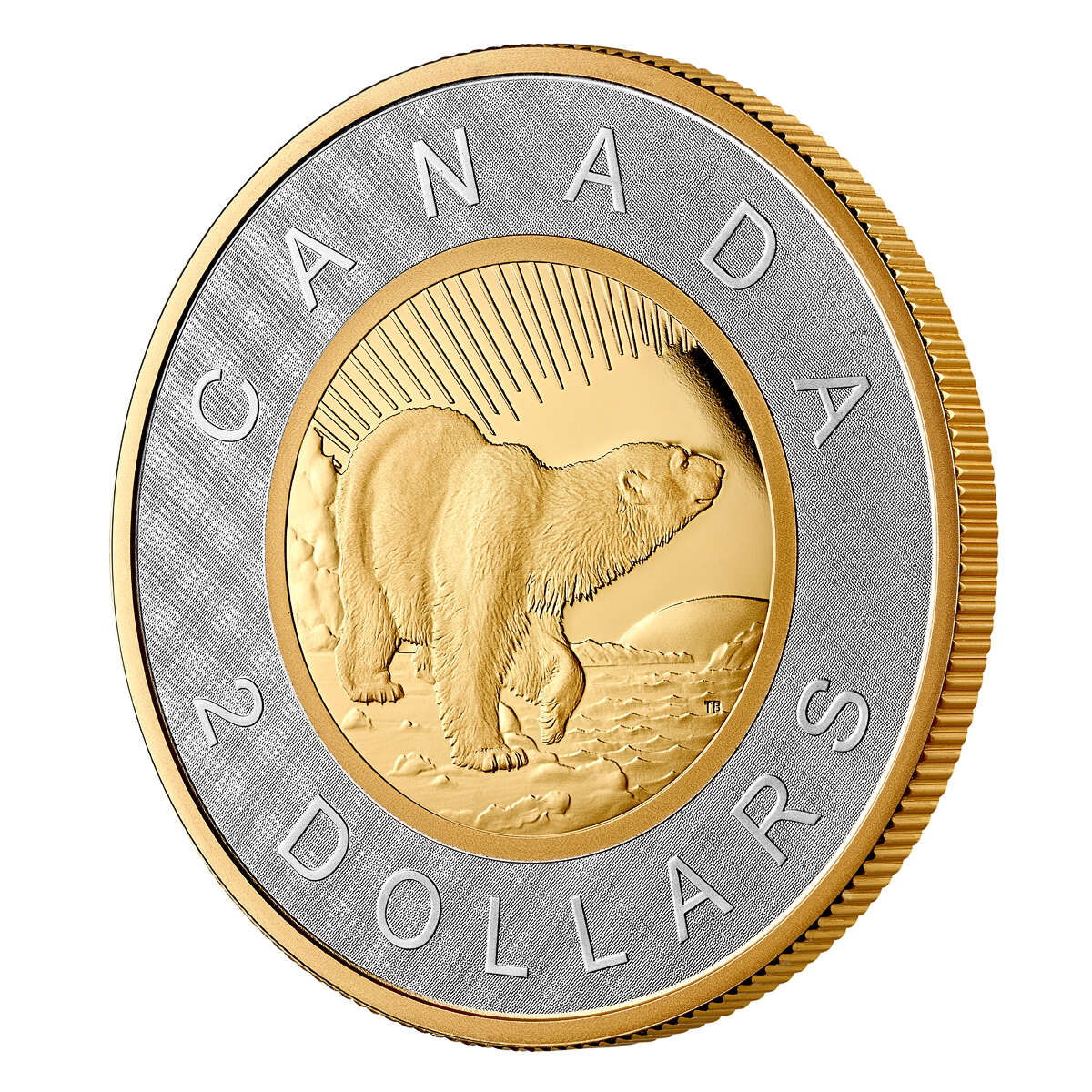 2 oz 2021 $2 Renewed Silver Toonie 25th Anniversary of the $2 Circulation Coin - Pure Silver Coin