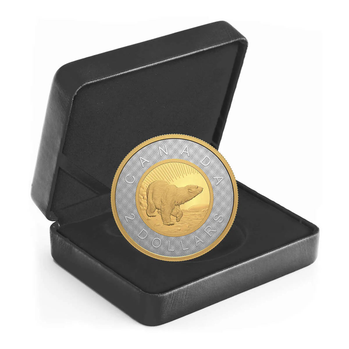 2 oz 2021 $2 Renewed Silver Toonie 25th Anniversary of the $2 Circulation Coin - Pure Silver Coin