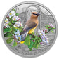 1 oz 2022 $20 Colourful Birds: Cedar Waxwing - Pure Silver Coin