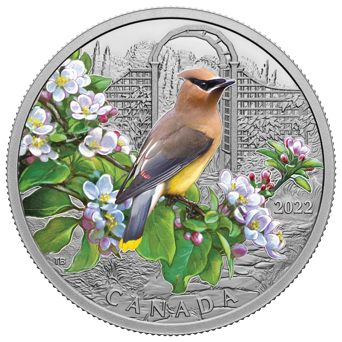 1 oz 2022 $20 Colourful Birds: Cedar Waxwing - Pure Silver Coin