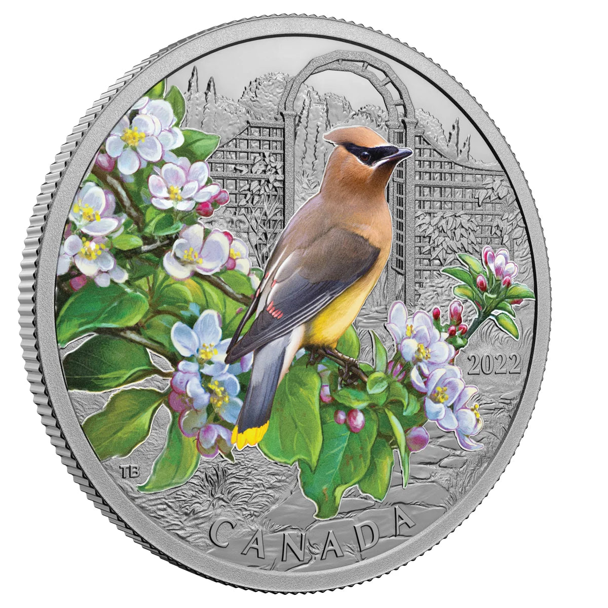 1 oz 2022 $20 Colourful Birds: Cedar Waxwing - Pure Silver Coin