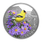 1 oz 2024 $20 Colourful Birds: American Goldfinch - Pure Silver Coin