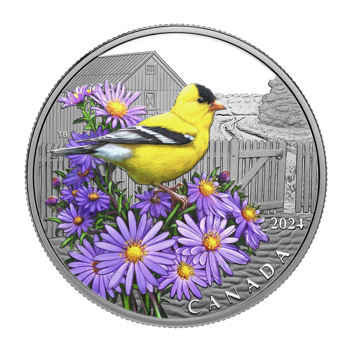 1 oz 2024 $20 Colourful Birds: American Goldfinch - Pure Silver Coin